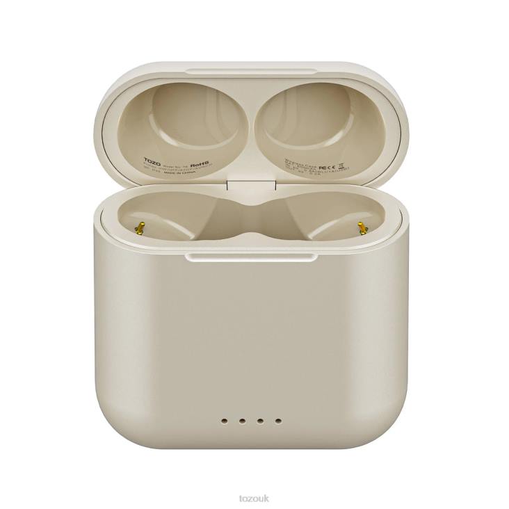 Champagne TOZO T6S Charging Case 4BN6P189 Accessory